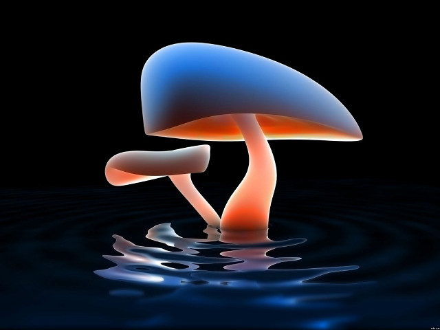 Blue orange mushroom floating water #2 free wallpaper - medium preview image