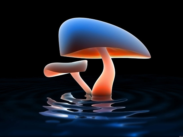 Blue orange mushroom floating water #3 free wallpaper - medium preview image