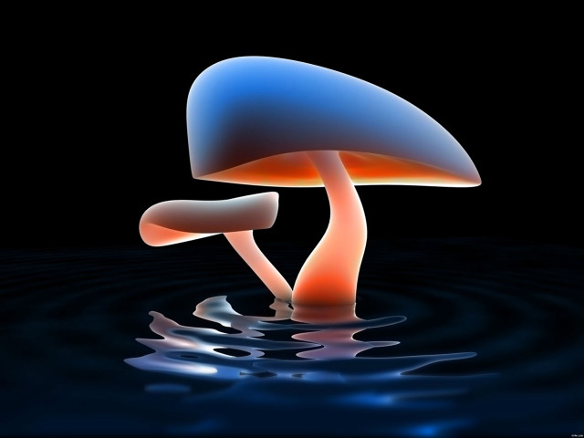 Blue orange mushroom floating water #4 free wallpaper - medium preview image