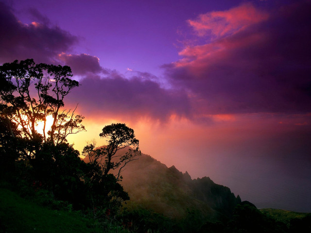 Sunset mountain trees purple sky #2 free wallpaper - medium preview image