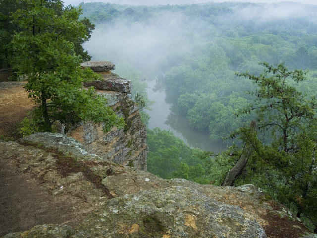River cliff woods fog trees free wallpaper - medium preview image