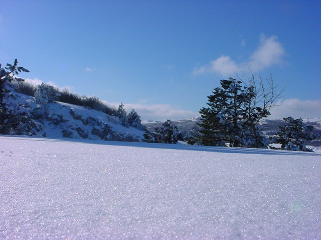Snow covered hill trees blue #6 free wallpaper - medium preview image
