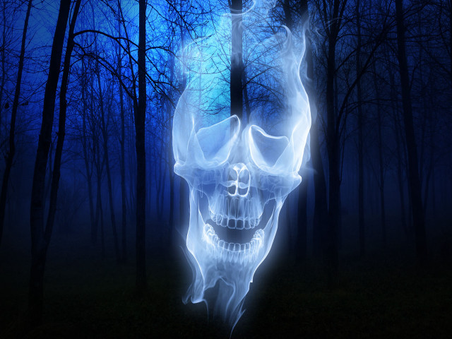 Glowing skull dark forest blue free wallpaper - medium preview image