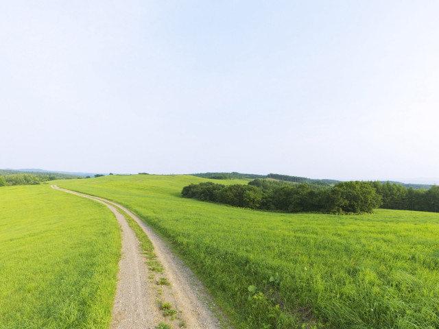 Dirt road lush green field #2 free wallpaper - medium preview image