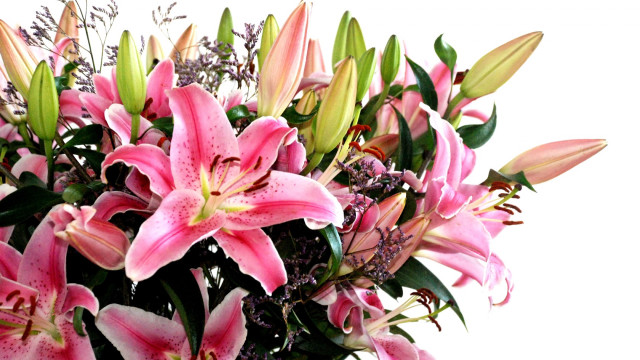 Vase pink flowers table white #4 free wallpaper - medium preview image