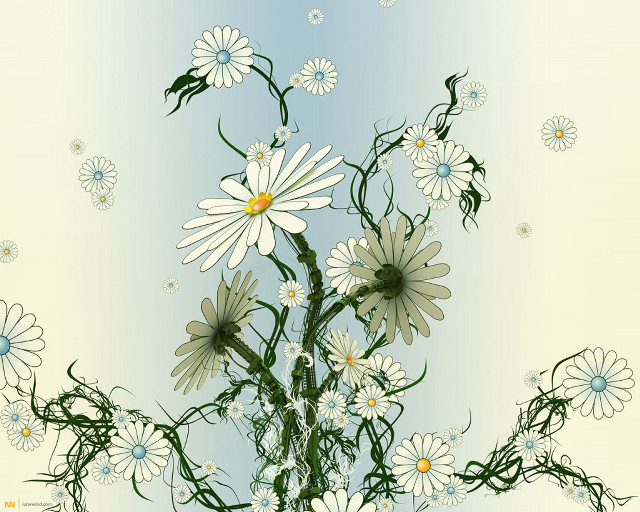 Daisies vase water droplets blue free wallpaper - medium preview image