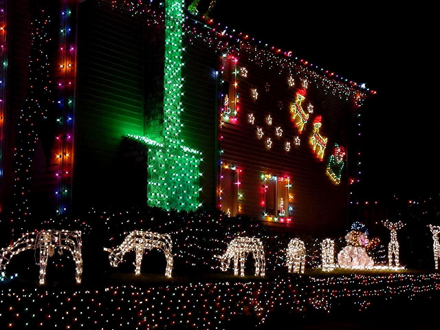 Christmas lights elephants house night free wallpaper - medium preview image