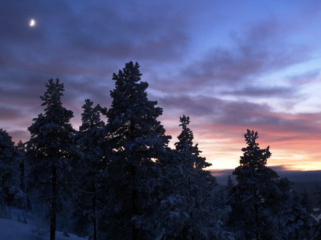 Sunset clouds trees foreground moon free wallpaper - medium preview image