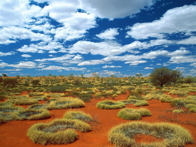 Grass field cloudy sky bushes free wallpaper - medium preview image