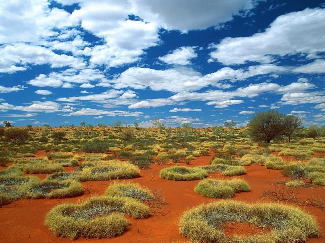 Grass bushes cloudy sky field free wallpaper - medium preview image