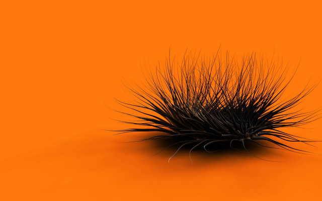 Black object long hair orange #3 free wallpaper - medium preview image