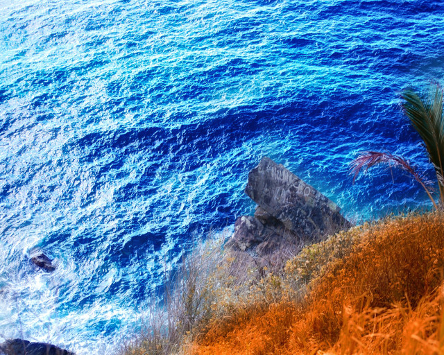 Ocean cliff palm tree blue free wallpaper - medium preview image
