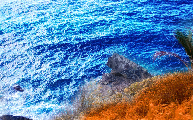 Ocean cliff palm tree blue #2 free wallpaper - medium preview image