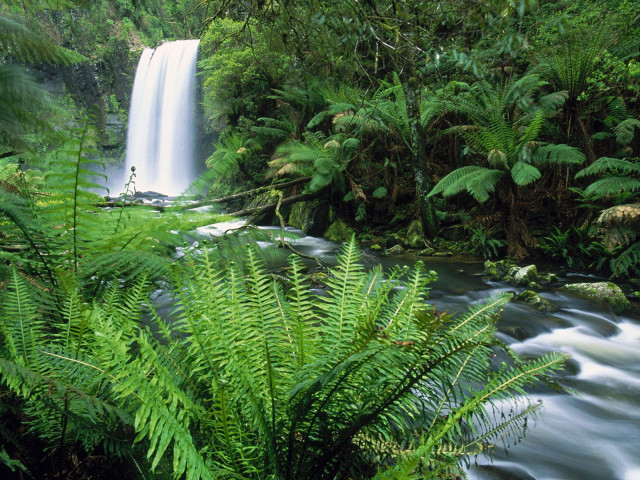 Waterfall lush green trees jungle #2 free wallpaper - medium preview image