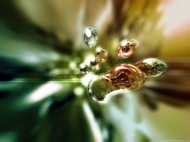 Flower water droplets green background #5 free wallpaper - medium preview image