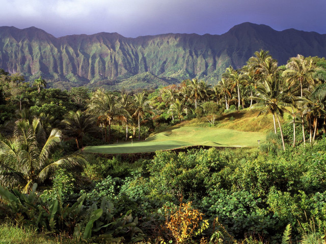 Golf course palm trees mountains #4 free wallpaper - medium preview image