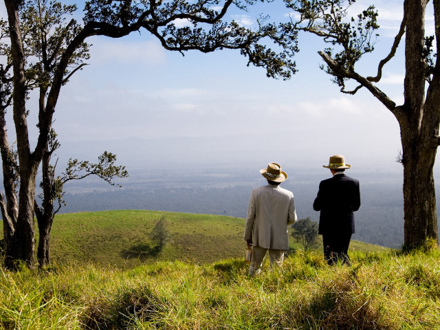 People hill view trees valley free wallpaper - medium preview image