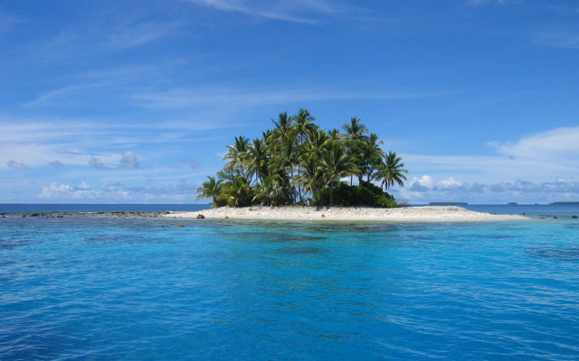Small island palm trees ocean #7 free wallpaper - medium preview image