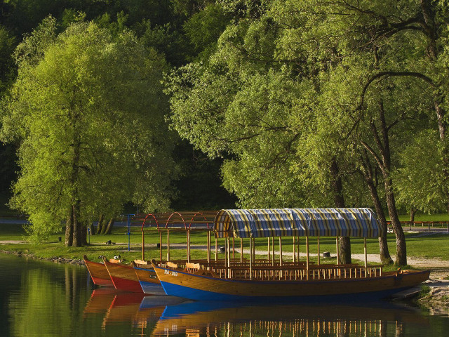 Boats lake forest shore shrine free wallpaper - medium preview image