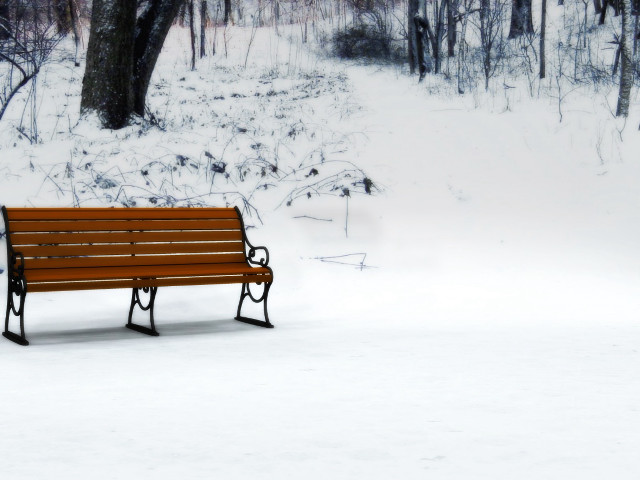 Bench snow tree path woods #3 free wallpaper - medium preview image