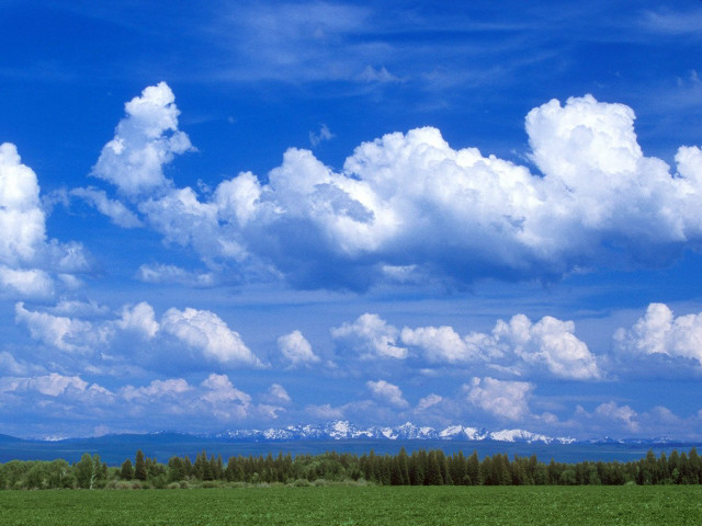 Cows grazing field mountain clouds free wallpaper - medium preview image