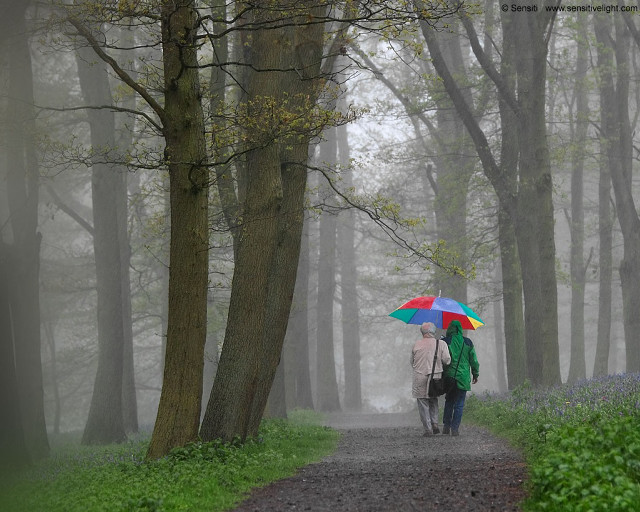 Two people walking path umbrellas free wallpaper - medium preview image