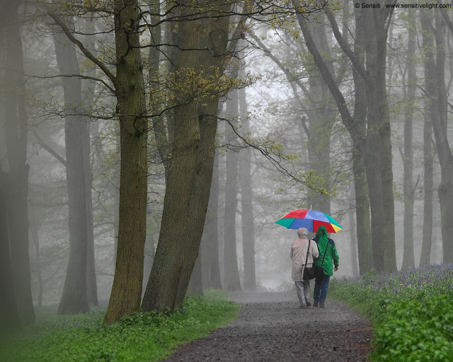 Two people walking path umbrellas #3 free wallpaper - medium preview image