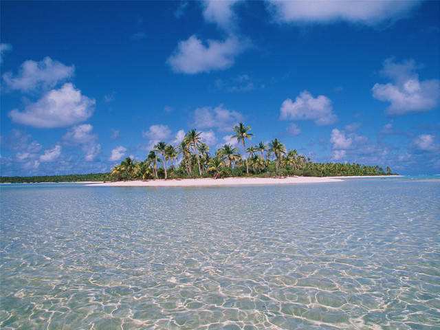 Small island palm trees ocean #19 free wallpaper - medium preview image