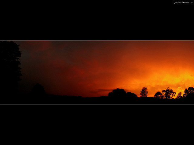 Sunset red sky trees black #2 free wallpaper - medium preview image