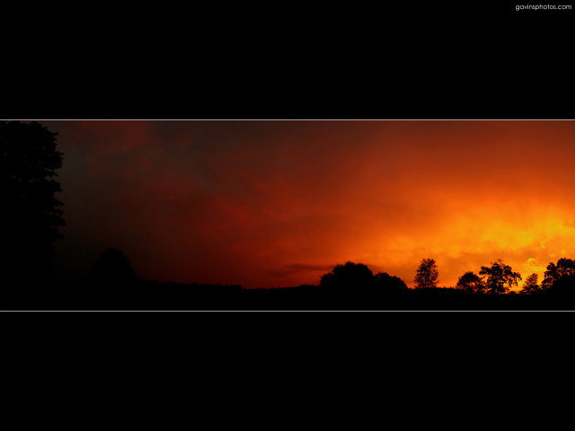 Sunset red sky trees black free wallpaper - medium preview image
