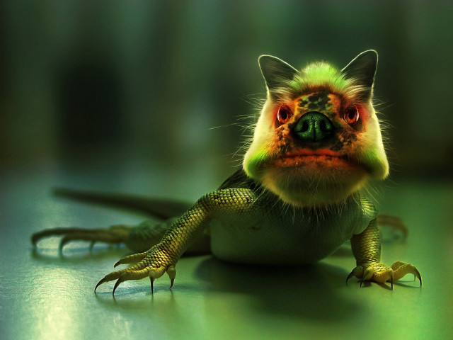 Small lizard green background open free wallpaper - medium preview image