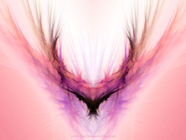 Pink purple abstract background bird free wallpaper - medium preview image
