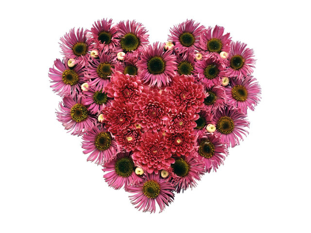 Heart shaped flower arrangement white #3 free wallpaper - medium preview image