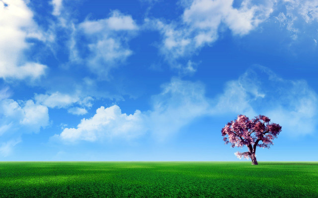 Lone tree green field blue #6 free wallpaper - medium preview image