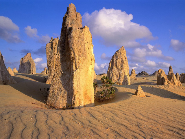 Desert rocks trees clouds sand #5 free wallpaper - medium preview image