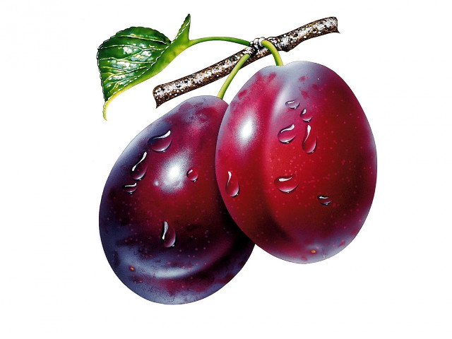 Two plums water drops on free wallpaper - medium preview image