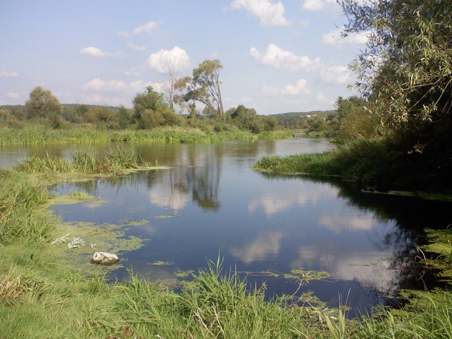 River clouds water plants trees free wallpaper - medium preview image
