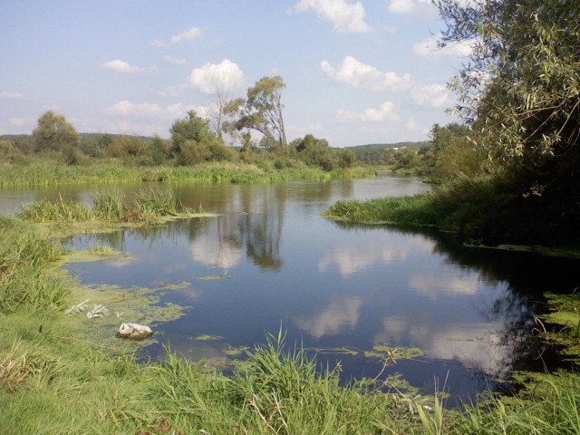 River clouds water plants trees #2 free wallpaper - medium preview image