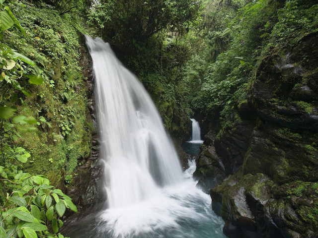 Waterfall forest lush green nature #3 free wallpaper - medium preview image