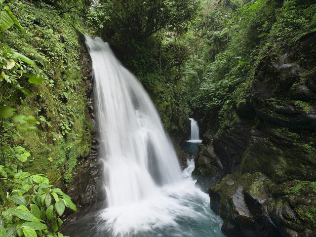 Waterfall forest lush green nature free wallpaper - medium preview image