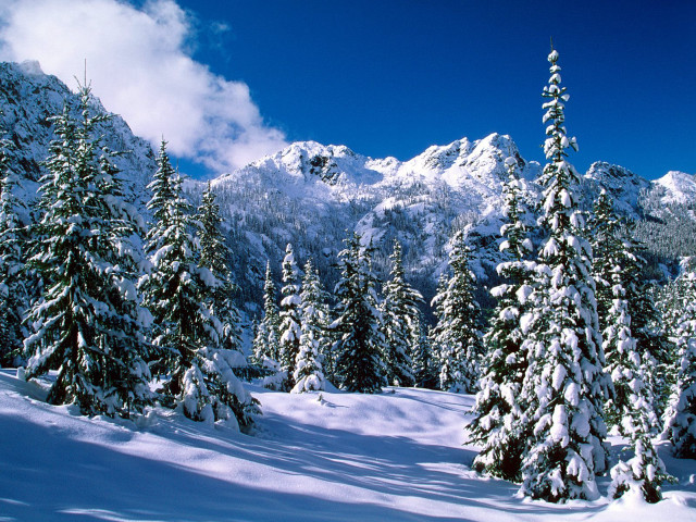 Snowy mountain trees clouds background free wallpaper - medium preview image