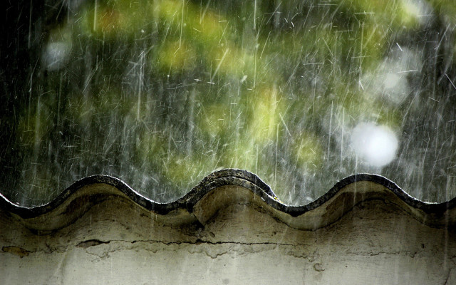 Rain storm roof tree raindrops free wallpaper - medium preview image