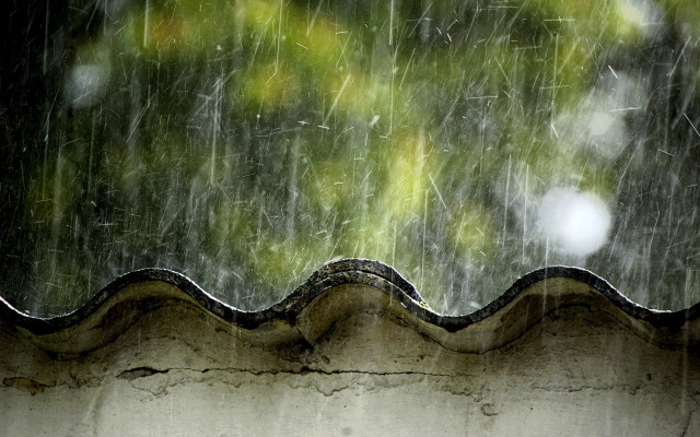 Rain storm roof tree raindrops #2 free wallpaper - medium preview image