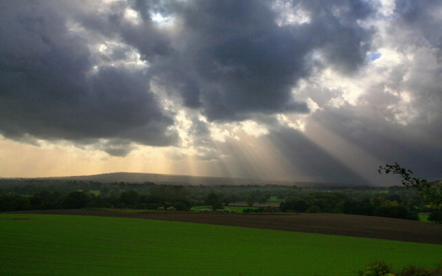 Field clouds sky trees foreground free wallpaper - medium preview image