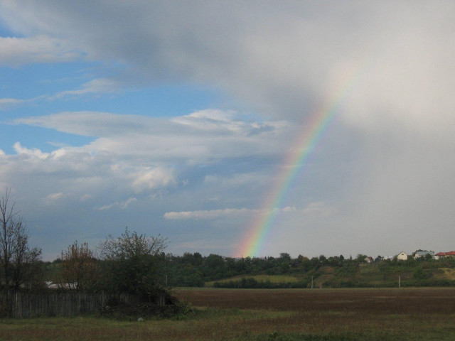 Rainbow field grass trees cloudy free wallpaper - medium preview image