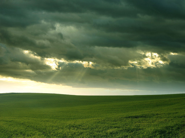 Green grass field godrays cloudy free wallpaper - medium preview image