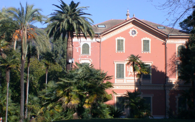 Large pink building palm trees #3 free wallpaper - medium preview image
