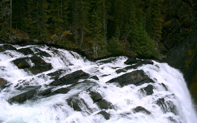 Waterfall bear woods forest nature free wallpaper - medium preview image