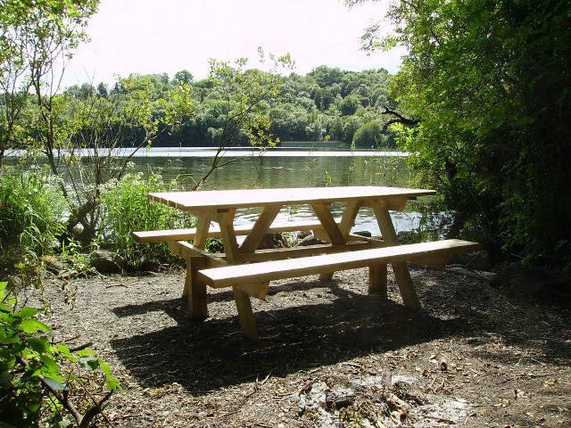 Picnic table lake shore forest free wallpaper - medium preview image