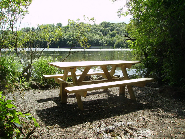 Picnic table lake forest lakebank free wallpaper - medium preview image